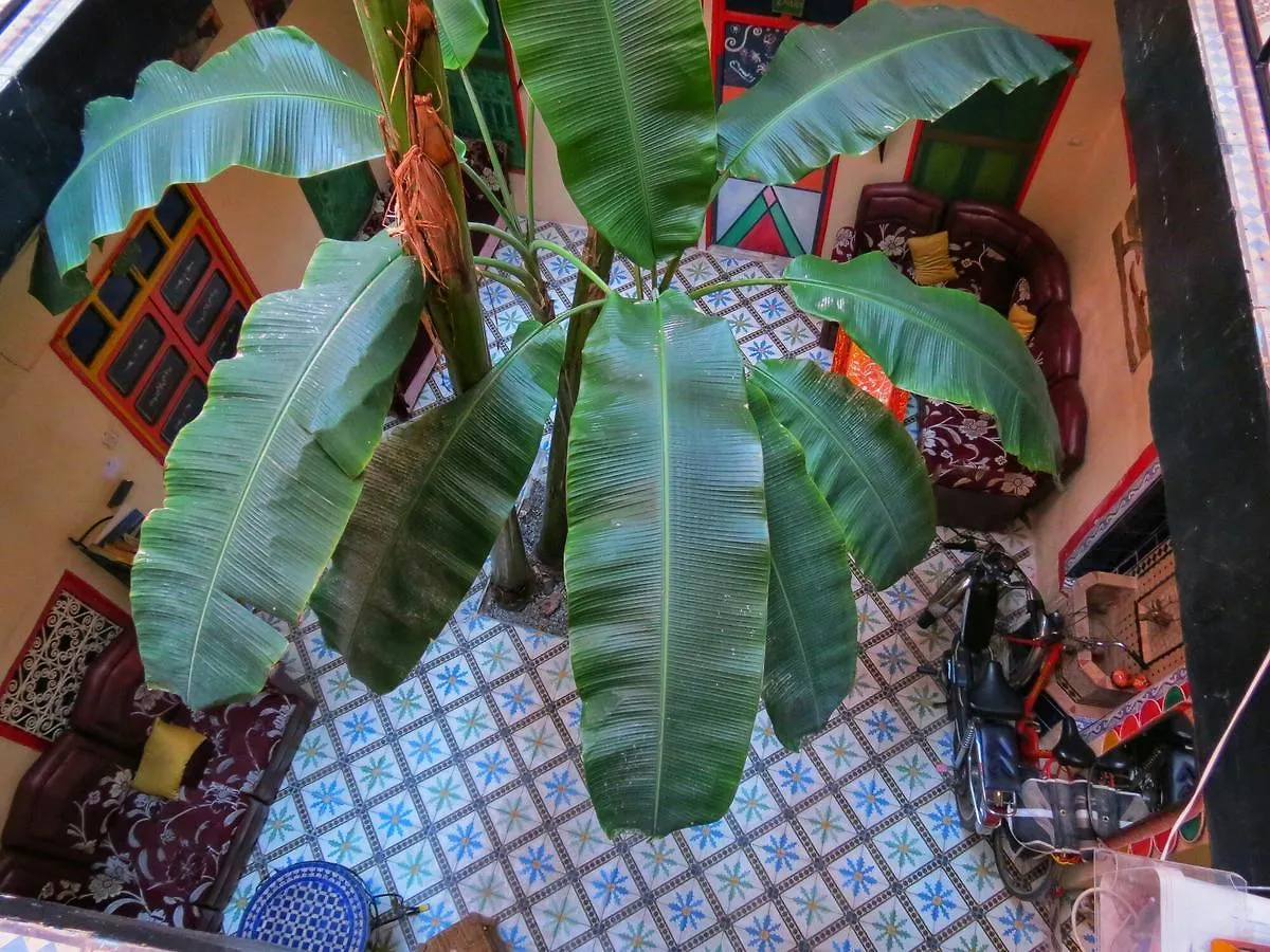 Riad Espagne Marrakesh